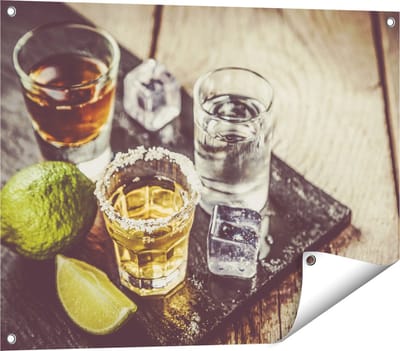 Gards Tuinposter Alcoholische Drankjes - Drank - 80x60 cm - Tuindoek - Tuindecoratie - Wanddecoratie buiten - Tuinschilderij