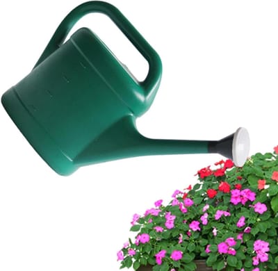 Bloemgieter Grote Capaciteit - Gietkan Tuin - Planten Water Geven - Lange Tuit - 10 Liter - Zwart
