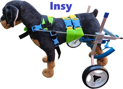 Hond brace, honden rolstoel, hond beugels, hond spalk, hond splint, hond steun, hondenbrace, honden beugel, hond, brace, rolstoel, dog wheelchair, dog brace, Hond brace maat XXS.