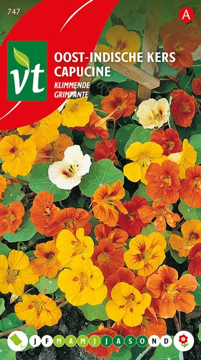 Oost-Indische Klimmende Kers Zaden - Rankende Planten met Eetbare Bloemen en Bladeren
