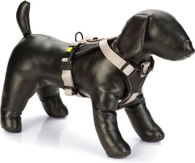 Beeztees hondentuig Parinca Premium grijs 38-48 x 2 cm