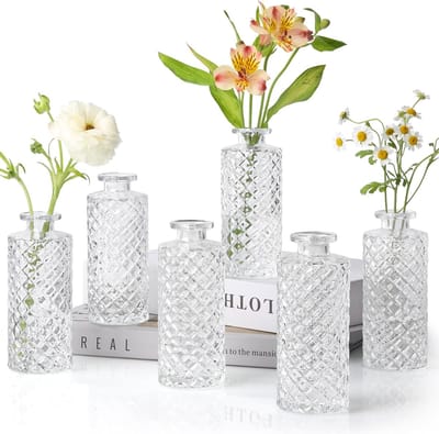 Famanu - Glazen Knopvazen Set van 6, Kleine Diamanten Knopvazen in Bulk, Mini-Bloemenvazen Voor Centerpieces, Vintage Fles Voor Tafeldecoraties, Bruiloftsdecoratie, Receptie, Thuis, (Transparant)