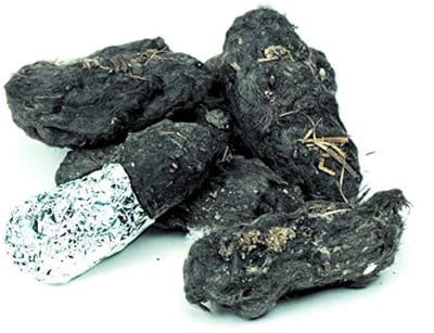 Uil Pellets - Kerkuil korrels - Natuurkunde lesmateriaal - Grote Uil Design - 1.5 inch+ - Bruin