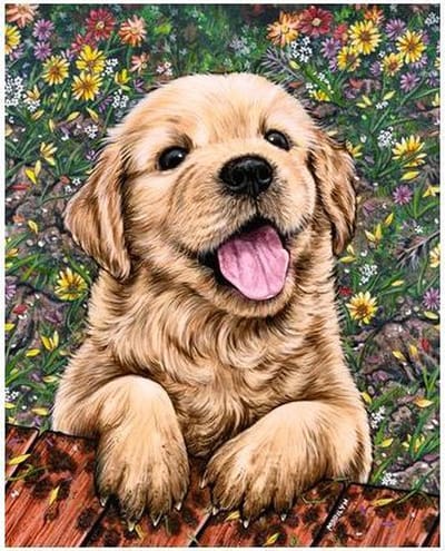 Wizardi diamond painting – Golden retriever pup – 40 x 50 cm