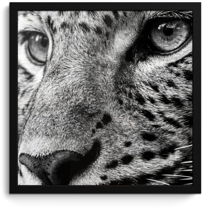 Poster in lijst - Fotolijst 40x40 cm - Posters - Luipaard - Zwart - Wit - Oog - Posterlijst zwart - Decoratie - Wanddecoratie woonkamer - Muurdecoratie slaapkamer