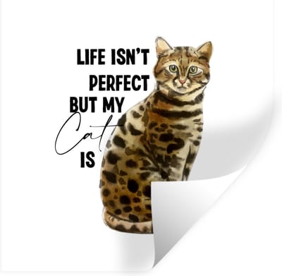 Muurstickers - Sticker Folie - Life isn't perfect but my cat is - Quotes - Spreuken - Katten - 100x100 cm - Plakfolie - Muurstickers Kinderkamer - Zelfklevend Behang XXL - Zelfklevend behangpapier - Stickerfolie