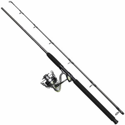Dam Full Cat Draaiende Combo Zilver 2.40 m / 40-150 g
