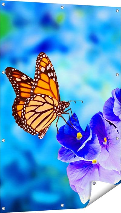 Gards Tuinposter Oranje Vlinder bij Paarse Bloemen - 80x120 cm - Tuindoek - Tuindecoratie - Wanddecoratie buiten - Tuinschilderij