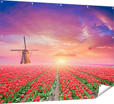 Gards Tuinposter Rode Rozen Bloemenveld met een Windmolen - 160x120 cm - Tuindoek - Tuindecoratie - Wanddecoratie buiten - Tuinschilderij