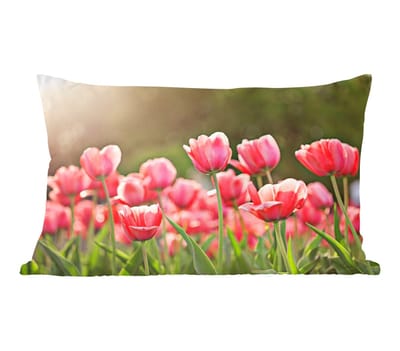 Sierkussens - Kussentjes Woonkamer - 50x30 cm - Tulpen - Zon - Lente