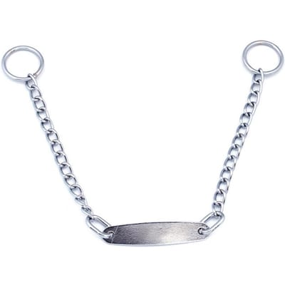 Hond Knelhalsband P Metalen Ketting met ID-Tag voor Kleine Middelgrote Grote Huisdieren Training(4,0 mm * 65 cm) white