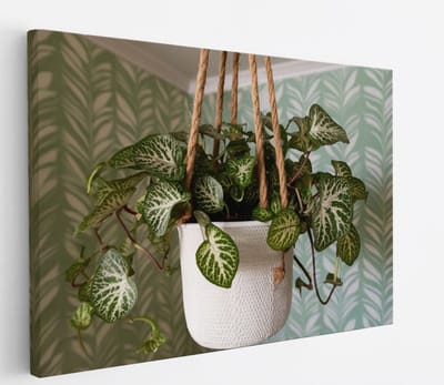 Saammp Canvas Schilderij - Hangende Kamerplant - Natuur - Abstract - 45x30 - Foto op canvas - Wanddecoratie - Muurdecoratie Woonkamer - Kantoor Decoratie