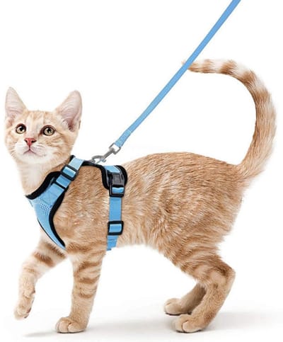 TOVBMUP Kattentuigje - Anti-ontsnapping - Kattenriem - Kitten- en puppytuigje - Verstelbaar - Voor katten, kleine honden, konijnen - Reflecterende strepen - Lichtblauw - S