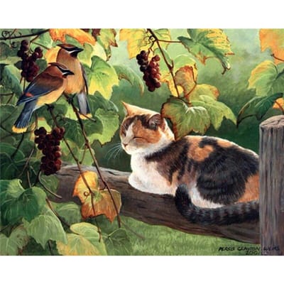 Diamant Schilderij Katten en Vogels Volledige Diamant Mozaïek Diamant Borduurwerk Kruissteek Decor 20X30CM beige