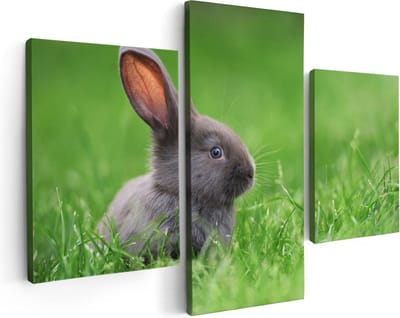Artaza Canvas Schilderij Drieluik Konijn In Het Gras - 90x60 - Foto Op Canvas - Canvas Print