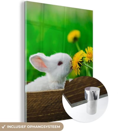 MuchoWow® Glasschilderij 30x40 cm - Schilderij acrylglas - Konijn - Paardenbloem - Gras - Foto op glas - Schilderijen
