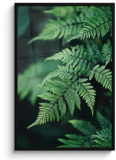 Poster in lijst - Fotolijst 80x120 cm - Posters - Varenblad - Groen - Structuur - Wazig - Posterlijst zwart - Decoratie - Wanddecoratie woonkamer - Muurdecoratie slaapkamer