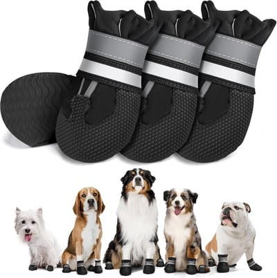 Schoenen Paw Protector S