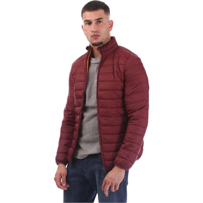 Aquascutum Heren Puffer Jas (Bordeaux)