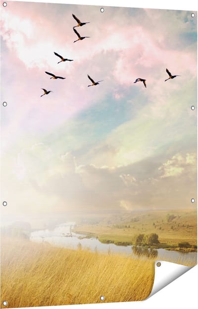 Gards Tuinposter Groep Vogels Vliegen Boven het Gras - 90x120 cm - Tuindoek - Tuindecoratie - Wanddecoratie buiten - Tuinschilderij