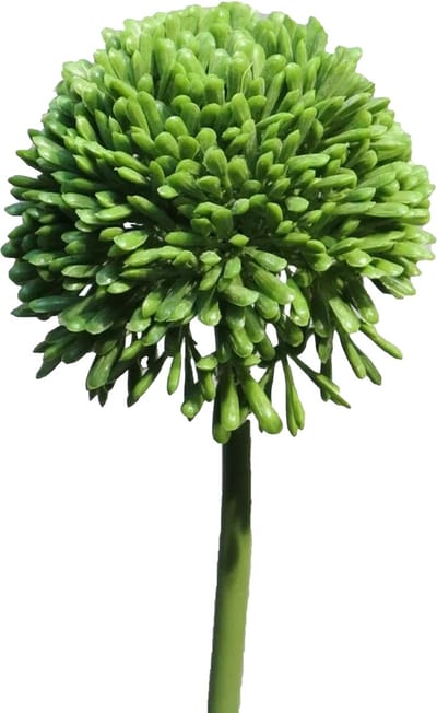 Bellatio Design Sierui Globemaster kunstbloem - losse steel - groen - 44cm - Natuurlijke uitstraling