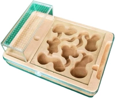 Anten Nest - Mierenboerderij Villa - Insecten Observeren - Transparant Ontwerp - 23.5 x 17 cm - Doorzichtig