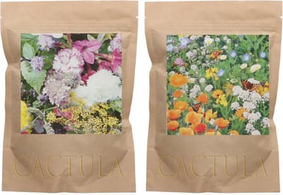 Zaden Bloemenmengsel Geurende bloemen en bloemen voor Vlinders voor 30 M2