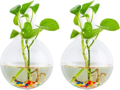 Set van 2 Ball Shape Hangende Plantenpotten met Terrarium Container en Kleurvolle Steentjes voor Binnen en Buiten, Perfect voor Tuin, Thuis en Bruiloften