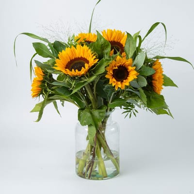 BloomKado | Boeketten | Boeket Zonnebloemen | 8 Stelen | Incl. Siergras