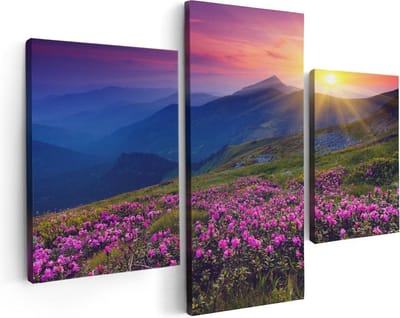 Artaza Canvas Schilderij Drieluik Roze Rhododendron Bloemenveld - Bergen - 90x60 - Foto Op Canvas - Canvas Print