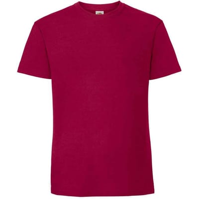 Fruit Of The Loom Heren Ringgesponnen Premium T-Shirt (Veenbes)