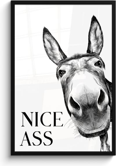 Poster in lijst - Fotolijst 60x90 cm - Posters - Quote - Ezel - Dieren - Nice ass - Spreuken - Posterlijst zwart - Wanddecoratie badkamer - Muurdecoratie WC - Decoratieve accessoires - Toilet muur decoratie
