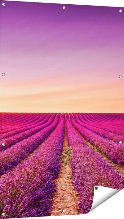 Gards Tuinposter Paarse Lavendel Bloemenveld - 80x120 cm - Tuindoek - Tuindecoratie - Wanddecoratie buiten - Tuinschilderij