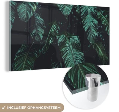 MuchoWow® Glasschilderij 40x20 cm - Schilderij acrylglas - Jungle - Palmboom - Bladeren - Tropisch - Foto op glas - Schilderijen