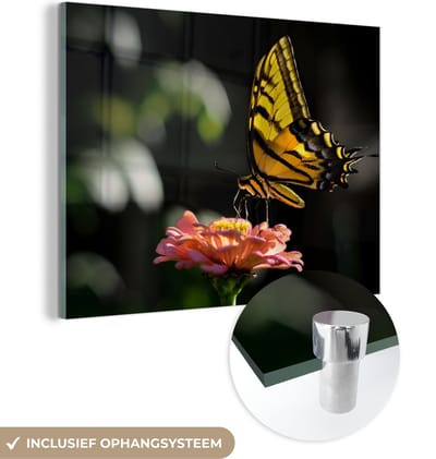 MuchoWow® Glasschilderij 40x30 cm - Schilderij acrylglas - Vlinder - Botanisch - Bloem - Foto op glas - Schilderijen
