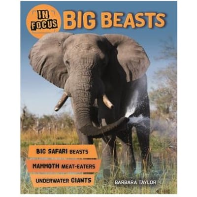 In Focus Big Beasts - BARBARA TAYLOR