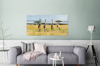 Aluminium schilderij 180x120 cm - Wanddecoratie metaal - Giraffen in het Masai Mara National Park in Kenia - Metalen muurdecoratie woonkamer - Decoratie industrieel - Foto op dibond - Industriële accessoires slaapkamer