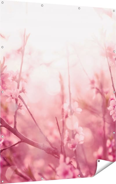 Gards Tuinposter Roze Bloesemboom met Zonneschijn - 120x160 cm - Tuindoek - Tuindecoratie - Wanddecoratie buiten - Tuinschilderij