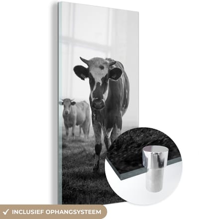 MuchoWow® Glasschilderij 20x40 cm - Schilderij acrylglas - Koeien in de ochtendmist zwart-wit foto - Foto op glas - Schilderijen