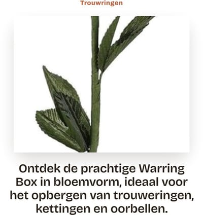 Dailygoods- Opbergdoos - Sterilisator Flessen - Veilig PP Materiaal - Herbruikbaar - Voor Speelgoed/Bijtringen - Eenvoudig te Bedienen
