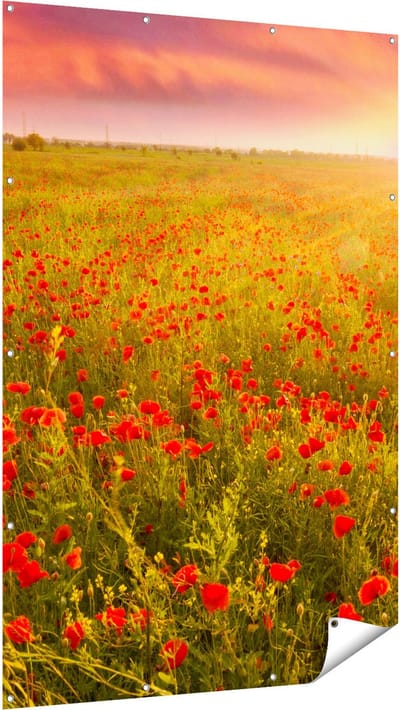 Gards Tuinposter Rode Klaproos Bloemenveld - Zonsondergang - 120x180 cm - Tuindoek - Tuindecoratie - Wanddecoratie buiten - Tuinschilderij