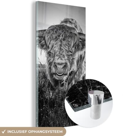MuchoWow® Glasschilderij 20x40 cm - Schilderij acrylglas - Schotse Hooglander - Zwart - Wit - Foto op glas - Schilderijen