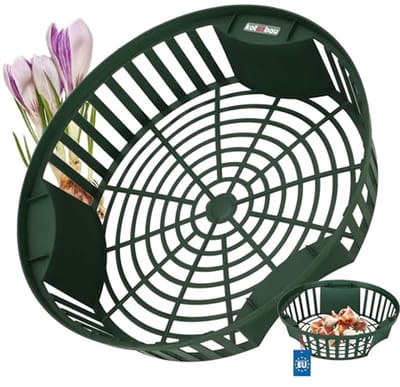 KOTARBAU® Bloembollenmand, ⌀ 265 mm, Groen, Plantenmand Voor Bloembollen, Bollenmanden Rond, Kweekmand van Kunststof, Bloembollen Schaal