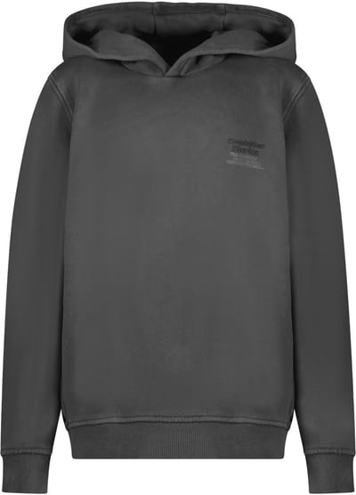 Cars Jeans Kids Northan Sw Hood For Boys Antra Size: 8 | Sportswear Outlet | Unisex | Grijs