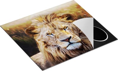 Chefcare Inductie Beschermer Leeuw in het Wild - Leeuwenkop - 60x50 cm - Afdekplaat Inductie - Kookplaat Beschermer - Inductie Mat