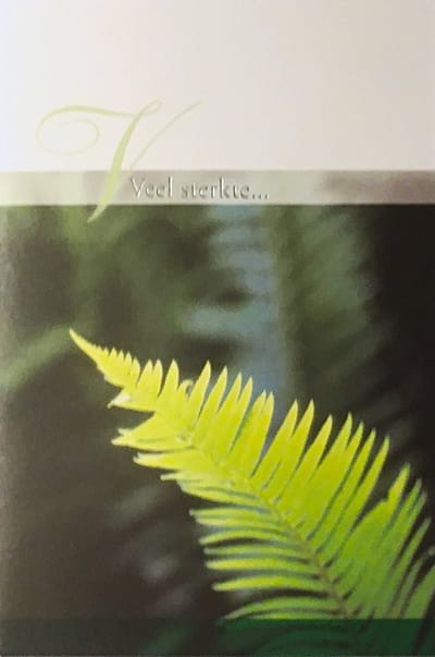 Luxe Wenskaart Deelneming - Veel Sterkte - Condoleance - Overlijden - Oprechte Deelneming - Art of Cards - 11,5x17cm - Dubbele Kaart - Met Envelop - Luxe Wens Kaart - Greeting Card - 1 Stuks - In Folie Apart Verpakt - Angel 32 - Gratis Verzonden