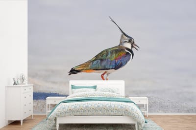 Behang - Fotobehang Vogel - Dieren - Zand - Kievit - Breedte 360 cm x hoogte 240 cm