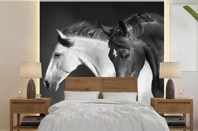 Behang - Fotobehang Paarden - Dieren - Zwart - Wit - Portret - Breedte 240 cm x hoogte 240 cm