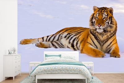 Behang - Fotobehang Tijger - Sneeuw - Winter - Dieren - Breedte 360 cm x hoogte 240 cm