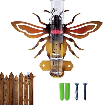 Regenmeter Buiten - Buitenmaatbuis Tuin - Nauwkeurig Meten - Decoratief IJzeren Frame - 18x20x4 cm - Zwart